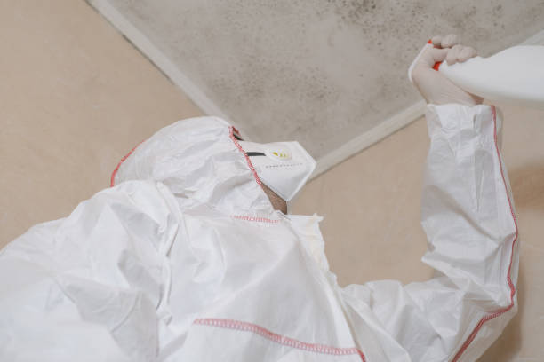 Best DIY Mold Remediation Support Services in North Kensington, MD